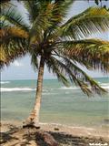 Playa Mala Pascua - PATILLAS